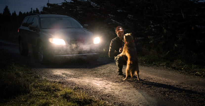 Man with dog in front of a vehicle with the headlines on