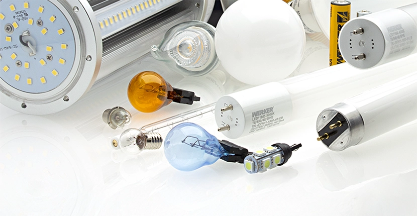 Collection of different types of light bulbs