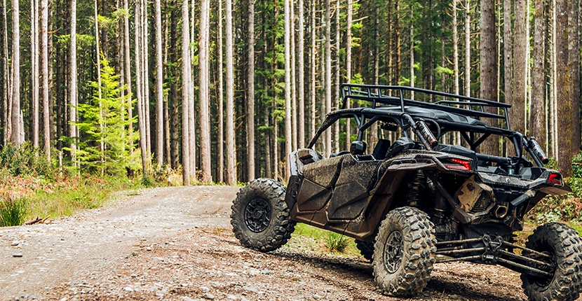 Driving through a wooded area in a UTV