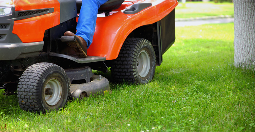 Riding lawn mower with trees in the back