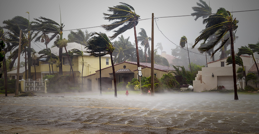 Hurricane blowing palm trees in front of 3 houses