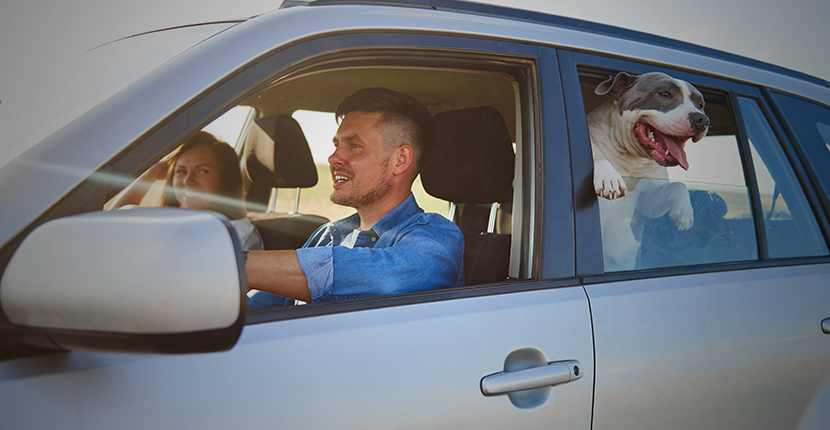 A couple in a car with a dog in the back seat looking out the window