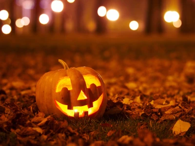 Lit up Jack-o-lantern in a yard